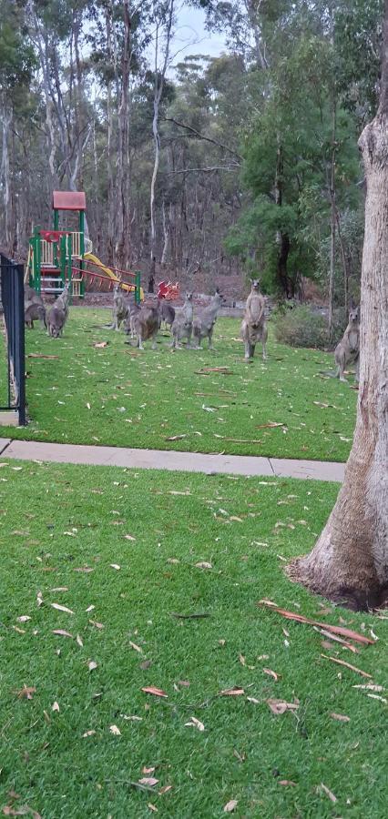 A-Line Holiday Park Μπέντιγκο Εξωτερικό φωτογραφία